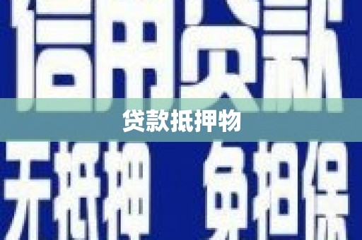 代县贷款抵押物