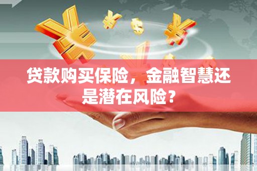 代县贷款购买保险，金融智慧还是潜在风险？