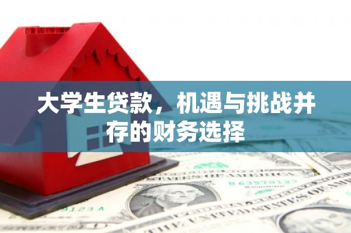 代县大学生贷款，机遇与挑战并存的财务选择