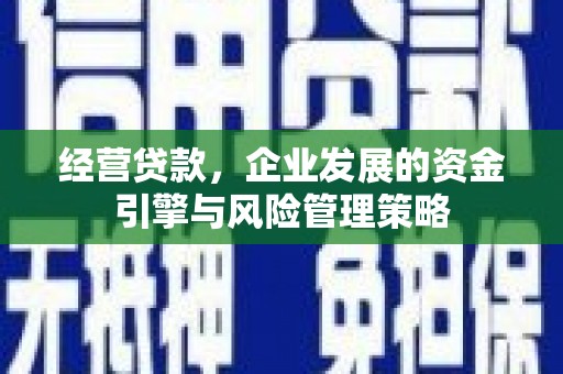 代县经营贷款，企业发展的资金引擎与风险管理策略