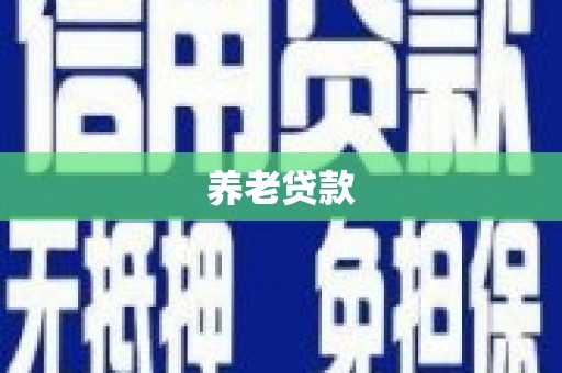 代县养老贷款