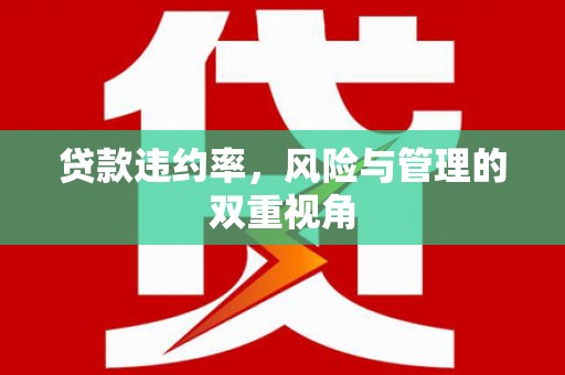 代县贷款违约率，风险与管理的双重视角