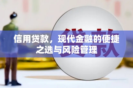 代县信用贷款，现代金融的便捷之选与风险管理