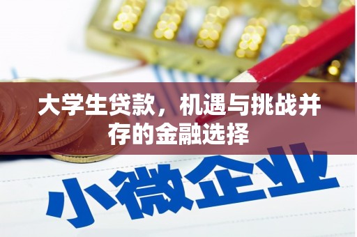 代县大学生贷款，机遇与挑战并存的金融选择