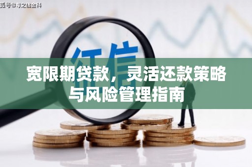 代县宽限期贷款，灵活还款策略与风险管理指南