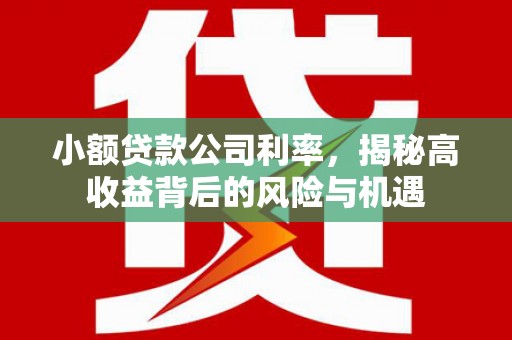 代县小额贷款公司利率，揭秘高收益背后的风险与机遇