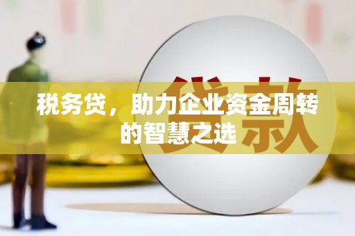 代县税务贷，助力企业资金周转的智慧之选