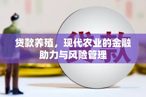 代县贷款养殖，现代农业的金融助力与风险管理