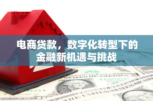 代县电商贷款，数字化转型下的金融新机遇与挑战