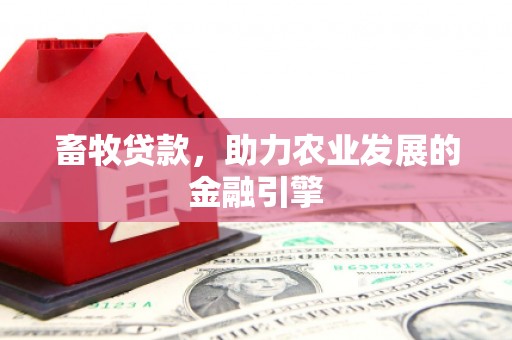 代县畜牧贷款，助力农业发展的金融引擎