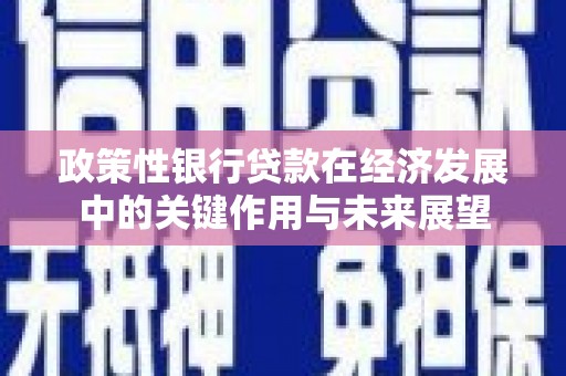 代县政策性银行贷款在经济发展中的关键作用与未来展望