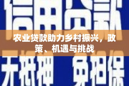 代县农业贷款助力乡村振兴，政策、机遇与挑战