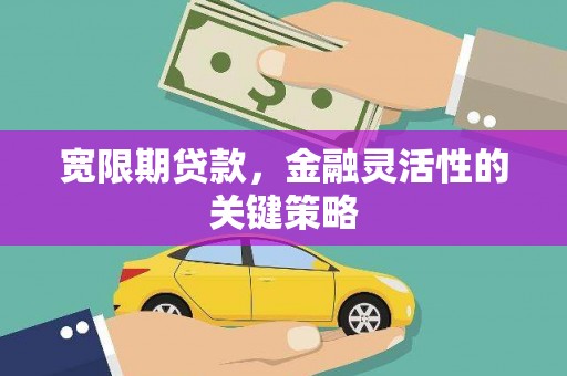 代县宽限期贷款，金融灵活性的关键策略