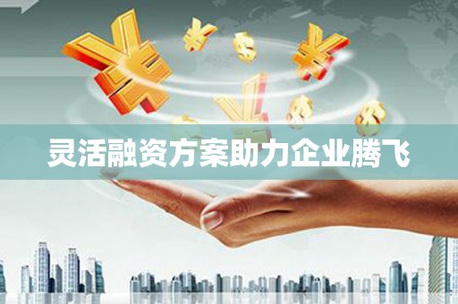 代县灵活融资方案助力企业腾飞