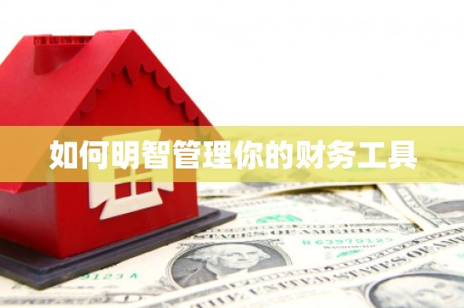 代县如何明智管理你的财务工具