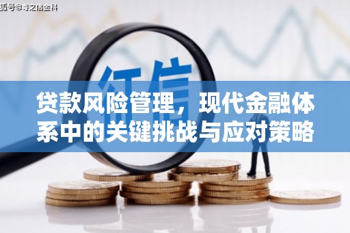 代县贷款风险管理，现代金融体系中的关键挑战与应对策略