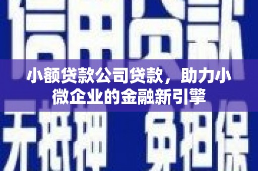 代县小额贷款公司贷款，助力小微企业的金融新引擎