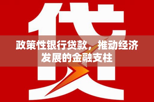 代县政策性银行贷款，推动经济发展的金融支柱