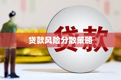 代县贷款风险分散策略