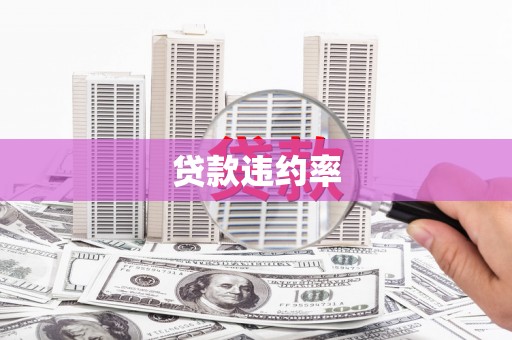 代县贷款违约率