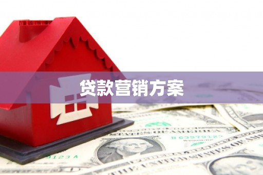 代县贷款营销方案