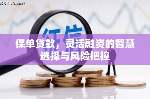 代县保单贷款，灵活融资的智慧选择与风险把控