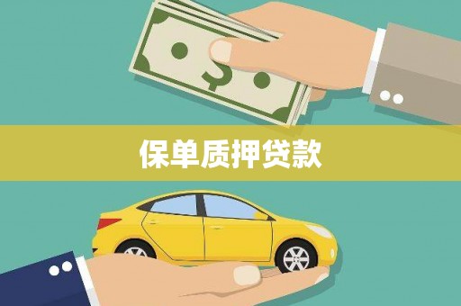 代县保单质押贷款