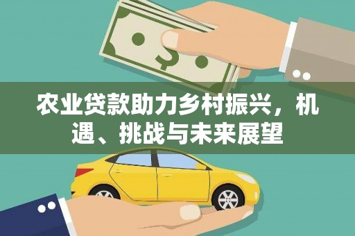 代县农业贷款助力乡村振兴，机遇、挑战与未来展望