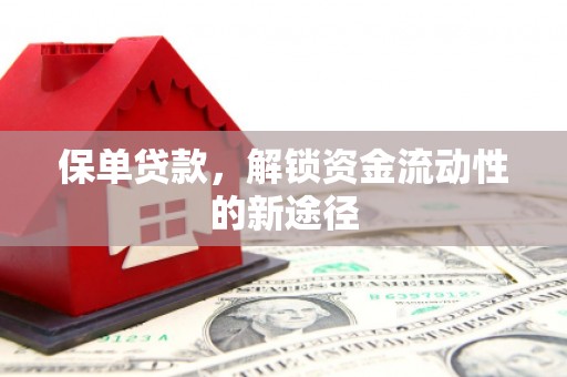 代县保单贷款，解锁资金流动性的新途径