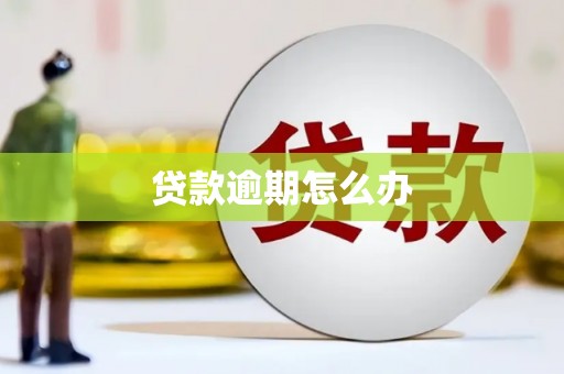 代县贷款逾期怎么办