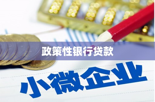 代县政策性银行贷款