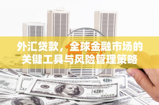 代县外汇贷款，全球金融市场的关键工具与风险管理策略
