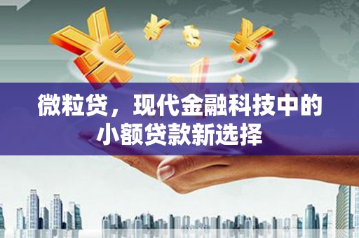 代县微粒贷，现代金融科技中的小额贷款新选择
