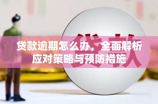 代县贷款逾期怎么办，全面解析应对策略与预防措施