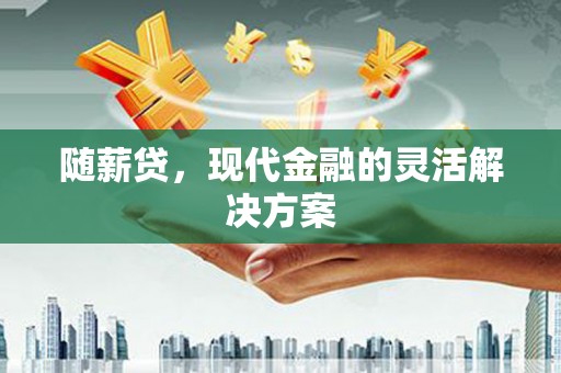 代县随薪贷，现代金融的灵活解决方案