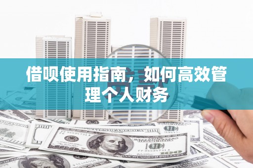 代县借呗使用指南，如何高效管理个人财务