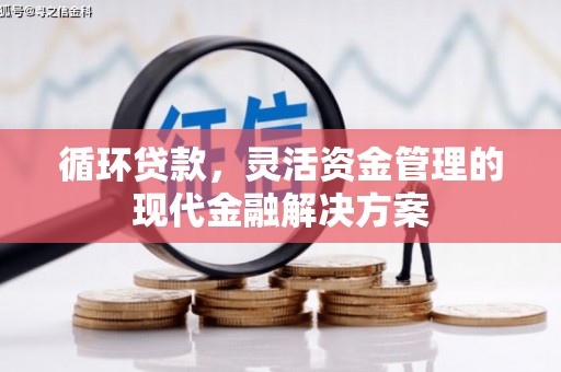 代县循环贷款，灵活资金管理的现代金融解决方案