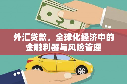 代县外汇贷款，全球化经济中的金融利器与风险管理