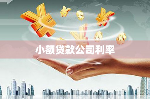 代县小额贷款公司利率