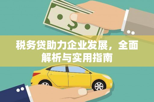 代县税务贷助力企业发展，全面解析与实用指南