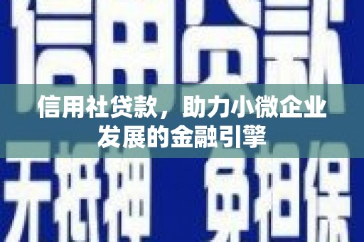 代县信用社贷款，助力小微企业发展的金融引擎