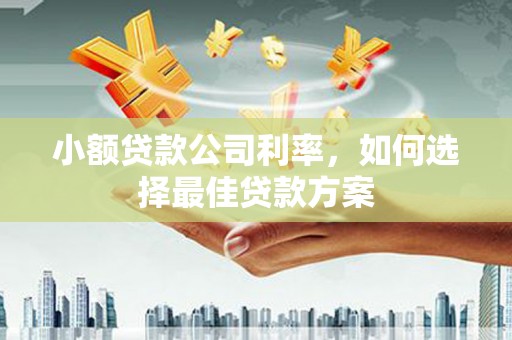 代县小额贷款公司利率，如何选择最佳贷款方案