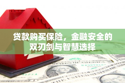 代县贷款购买保险，金融安全的双刃剑与智慧选择