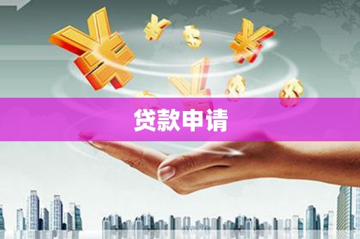 代县贷款申请