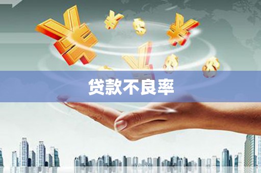 代县贷款不良率