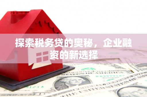 代县探索税务贷的奥秘，企业融资的新选择