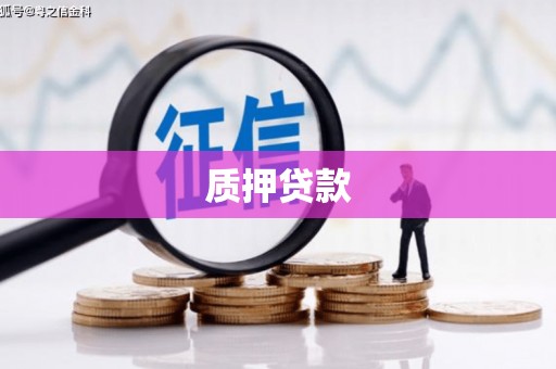 代县质押贷款