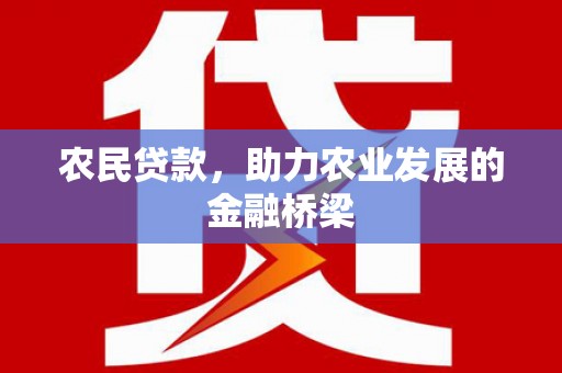 代县农民贷款，助力农业发展的金融桥梁