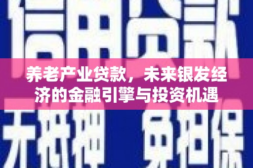 代县养老产业贷款，未来银发经济的金融引擎与投资机遇