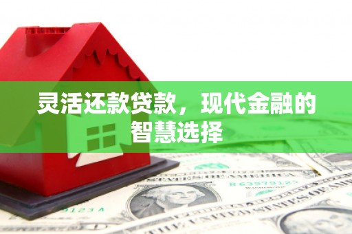 代县灵活还款贷款，现代金融的智慧选择